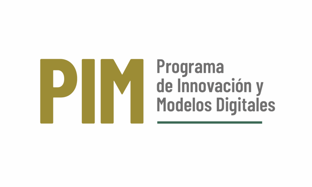 Programa de Innovación y Modelos Digitales - PIM