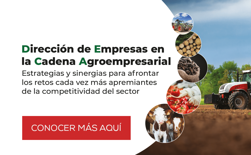 Dirección de Empresas en la Cadena Agroempresarial