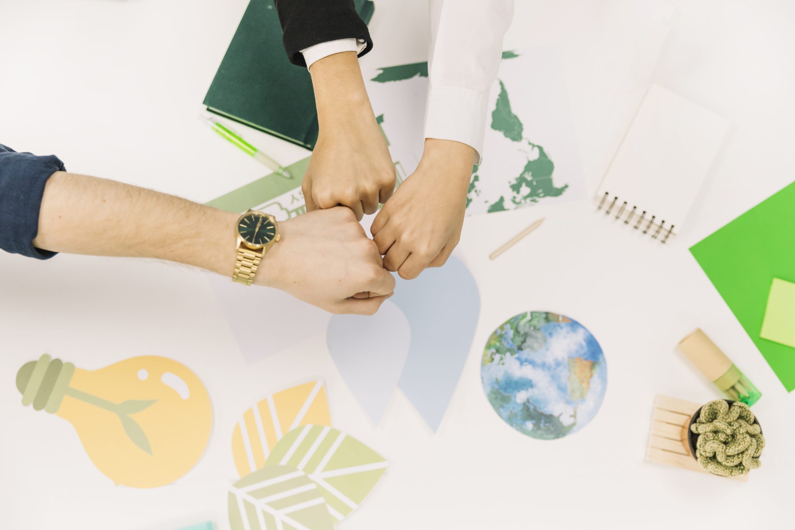 Equilibrio para la transformación: sostenibilidad, cultura e innovación